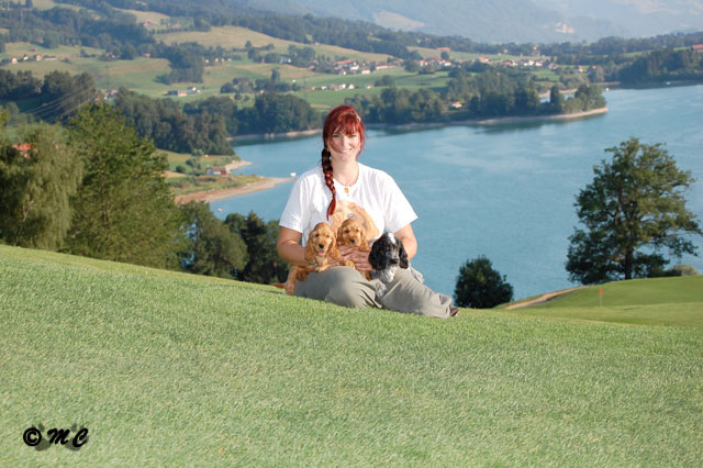 hoto de Nadine Thomas sur le golf de Pont-la-Ville, tenant trois chiots cockers spaniels anglais issus de l'élevage de Syringa dans les bras, avec le lac de la Gruyère en arrière-plan.